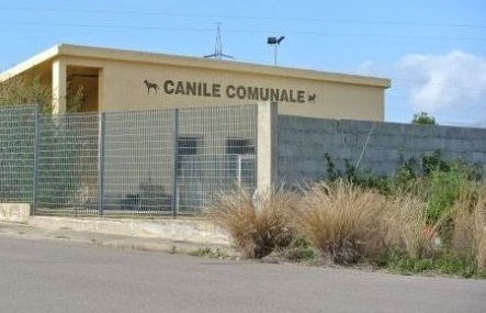 Canile comunale di Tortolì, bando gestione