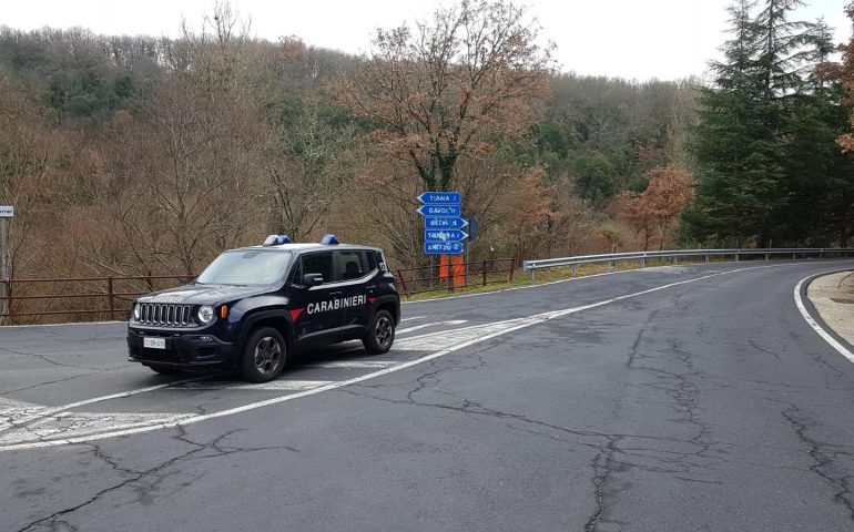 Massacro ovini a Tonara, carabinieri