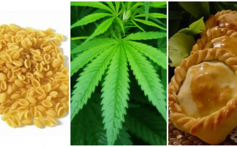 Malloreddus, panade e pizze alla cannabis: la rivoluzione della canapa sativa passa anche per la Sardegna