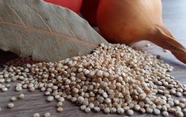 quinoa coltivata Sardegna senza glutine
