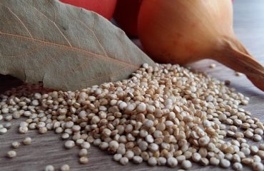 quinoa coltivata Sardegna senza glutine