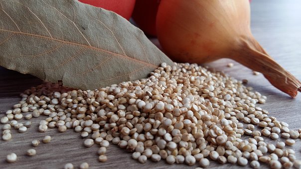 quinoa coltivata Sardegna senza glutine