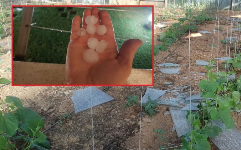 Grandine da record a Iglesias: distrutta la serra di due giovani agricoltori, danni per 250mila euro