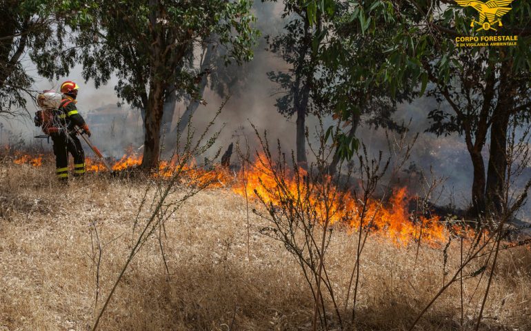 Un incendio distrugge il cantiere Forestas di Arzana. Avviate le indagini