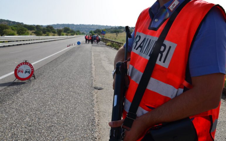 Silanus, incidente stradale SS 129 a causa di un bovino sulla carreggiata