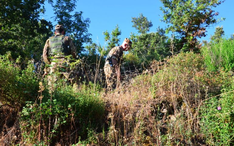 Dorgali, coltivava cannabis in campagna. Arrestato un 50enne