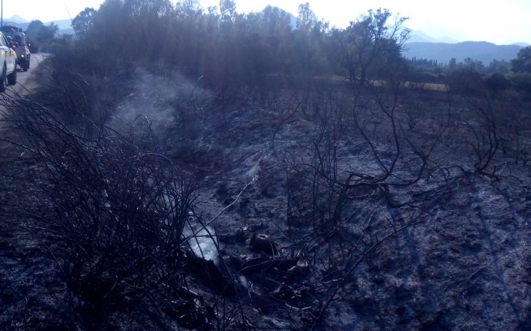 Incendio campagne tra Cardedu e Bari Sardo, ecco cosa resta