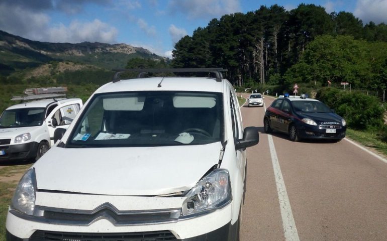 Incidente stradale nell’agro di Arzana, auto investe un bovino, illesi gli occupanti