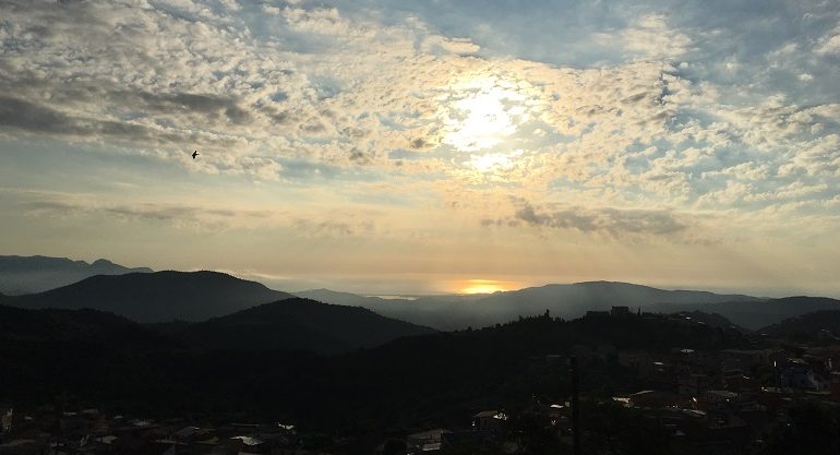 Le foto dei lettori. Una rondine in volo nel cielo d’Ogliastra