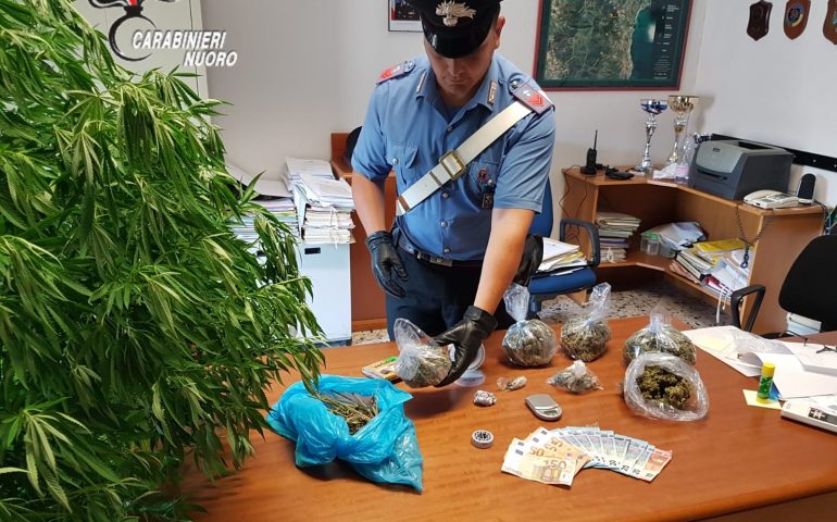 Marijuana da spacciare in casa, convalidato l’arresto per un 30enne di Tertenia