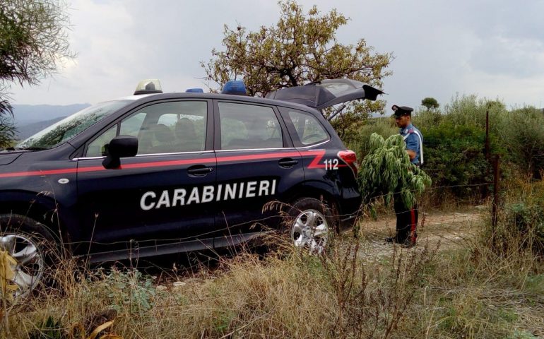 Quartucciu, serra artigianale e materiale per il confezionamento. Nei guai un 55enne del posto