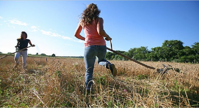 Agricoltura, aiuti per le imprese agricole colpite da calamità naturali. Stanziati più di tre milioni e mezzo di euro