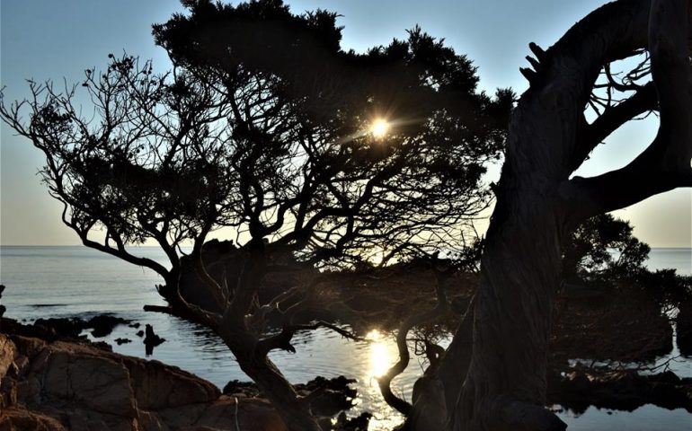 Le foto dei lettori. Il buongiorno in Ogliastra si vede dal mattino