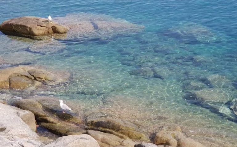 Le foto dei lettori. Acqua azzurra, acqua chiara, acqua ogliastrina