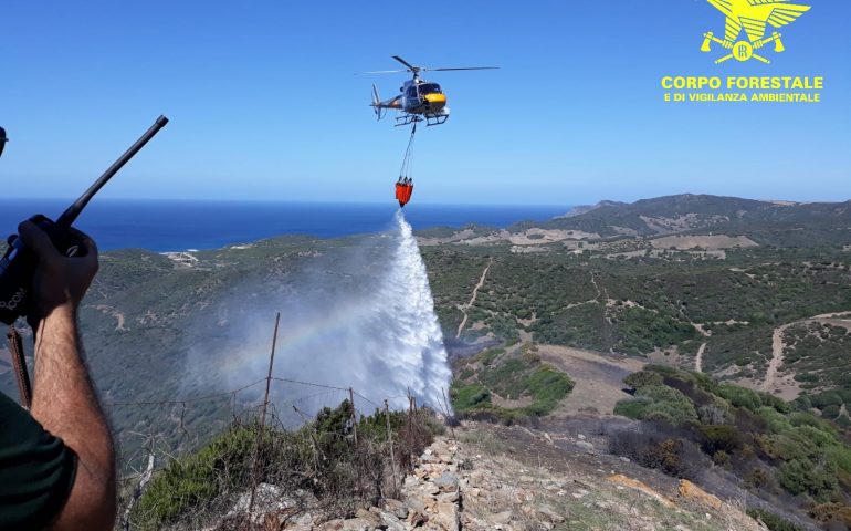 La Sardegna brucia ancora: incendi a Guspini e a Sassari spenti dal Corpo Forestale