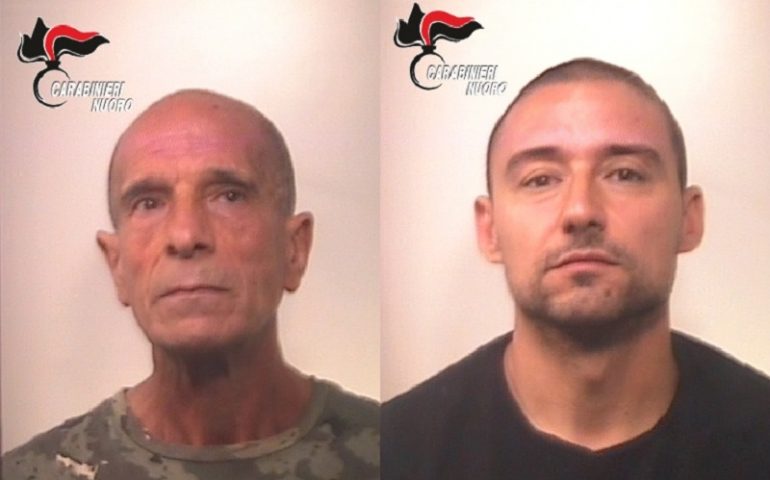 (FOTO E VIDEO) Piantagione record a Ortueri, avrebbe potuto fruttare 4 milioni di euro. Due arresti e cinque denunce