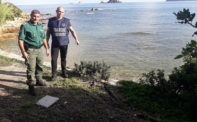 Le guardie eco-zoofile di Anpana Nuoro-Ogliastra mettono in sicurezza un muro in pietra a Santa Maria