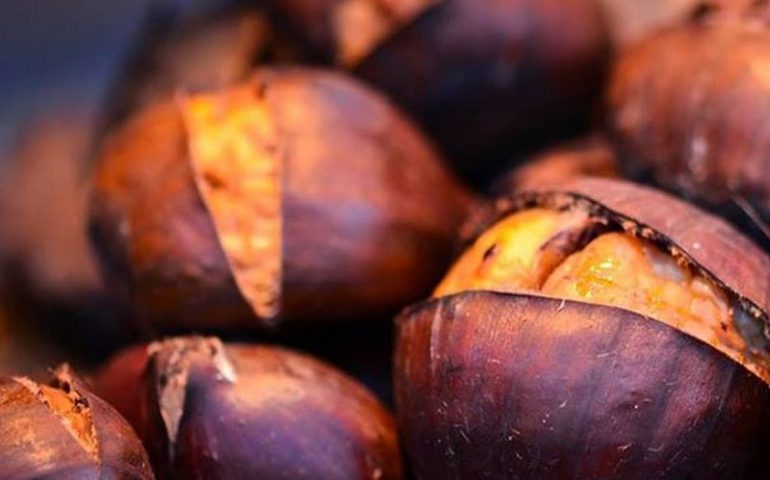 Lanusei, appuntamento con il gusto. In arrivo la Fiera delle castagne e del vino nuovo