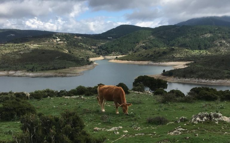 Le foto dei lettori. Scorcio del lago Flumendosa