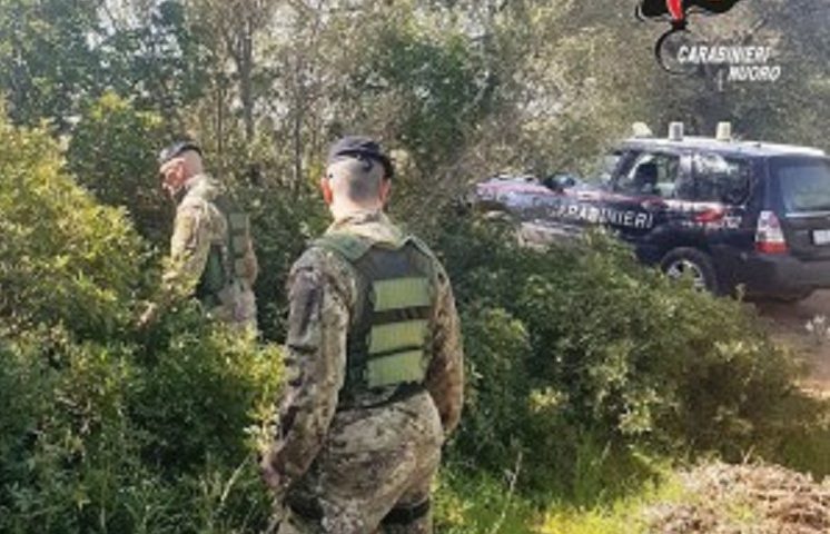 Villagrande, attimi di terrore per un cacciatore. Bloccato in montagna, viene derubato del suo fucile