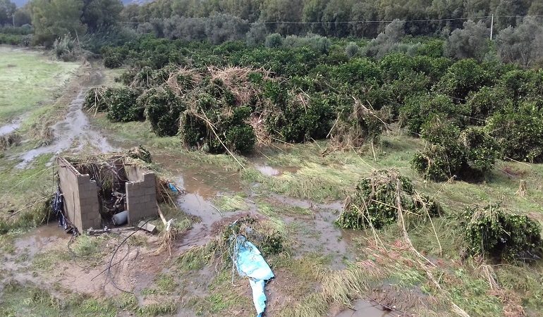 Coldiretti Sardegna, triste bilancio. Maltempo e agricoltura: danni per milioni di euro