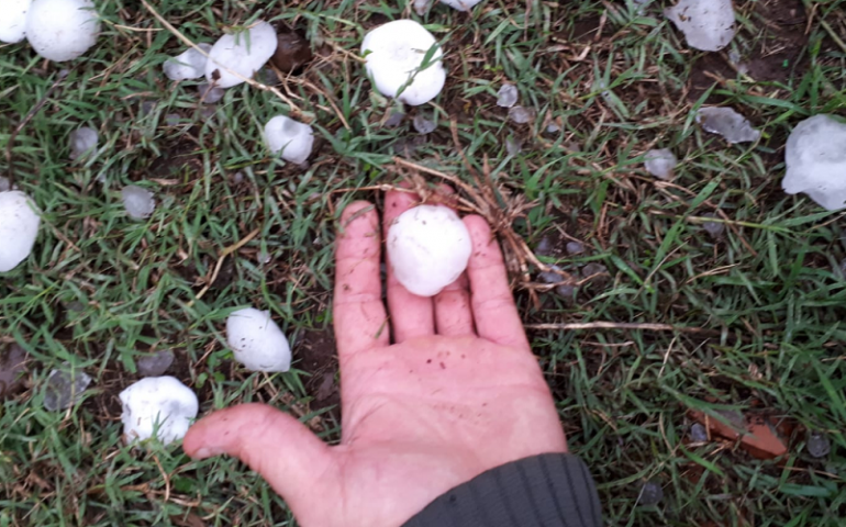 Maltempo. Coldiretti: “Agricoltura in ginocchio, subito il forum sui cambiamenti climatici”