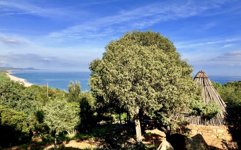 Le foto dei lettori. Azzurro e verde che si uniscono nello scatto di Elisa Zidda