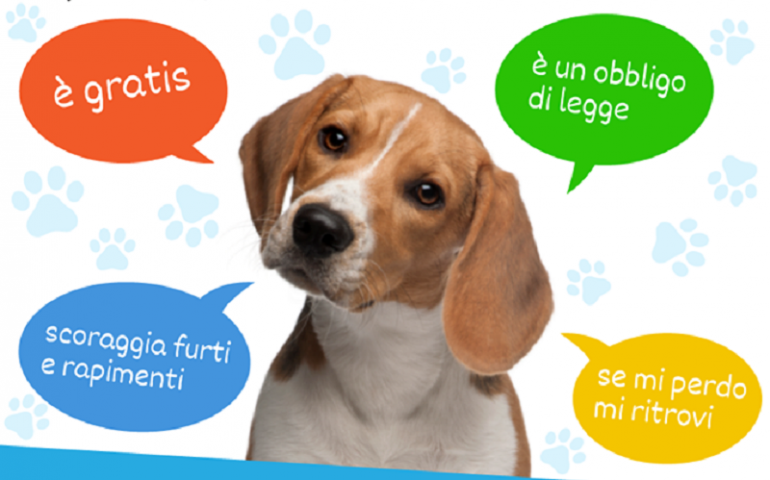 Bari Sardo, al via la campagna gratuita per mettere il microchip agli amici a quattro zampe