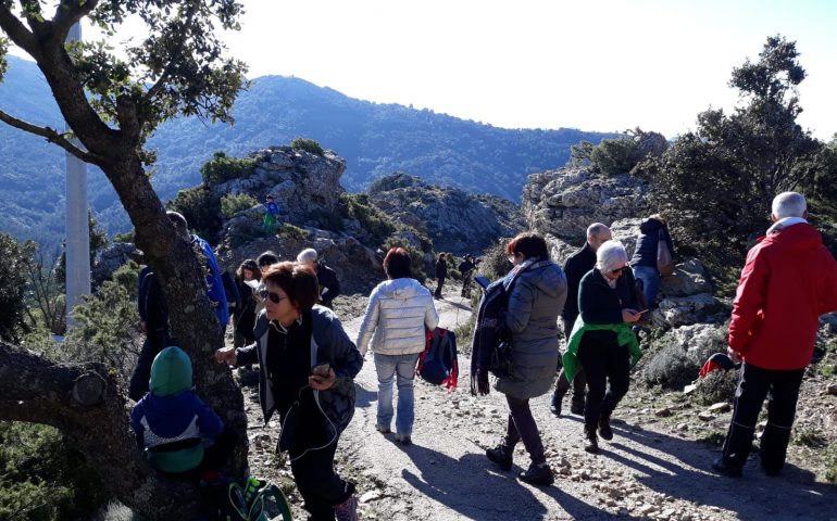 Erbe spontanee e medicinali della Sardegna: un incontro ad Arzana con l’esperto Demartis