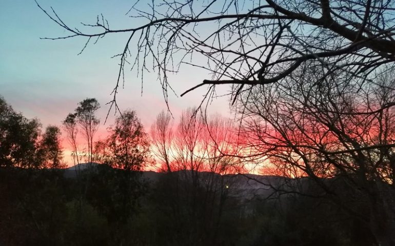 Le foto dei lettori. Giochi di colori nello scatto di Riccardo Floris