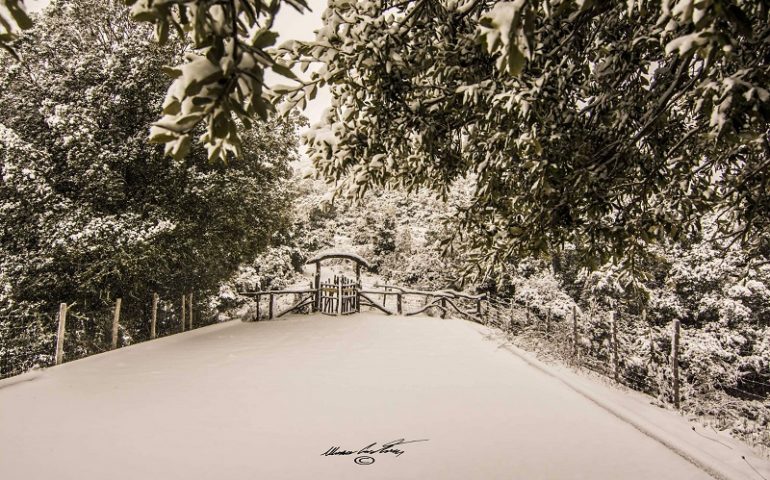 (FOTO) Neve in Ogliastra, lo scatto imbiancato di Cristian Mascia