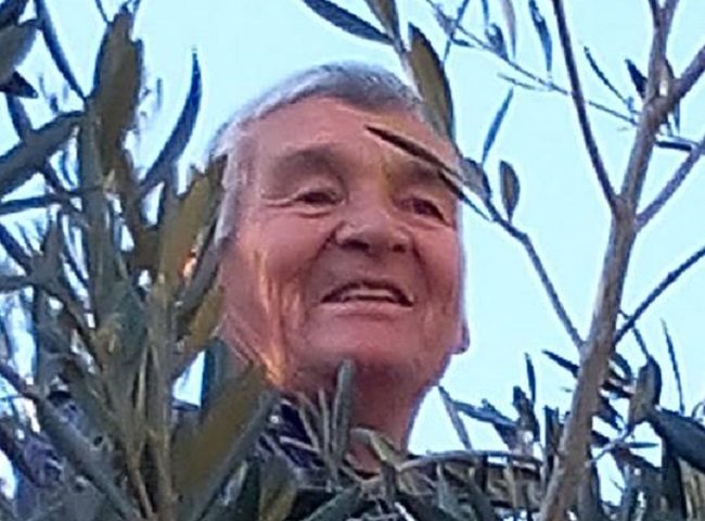 76enne scomparso ieri ad Arzana, ancora nessuna notizia. Domani nuove ricerche