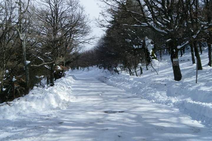 Meteo, seconda ondata di freddo in Sardegna, vento gelido e neve in arrivo