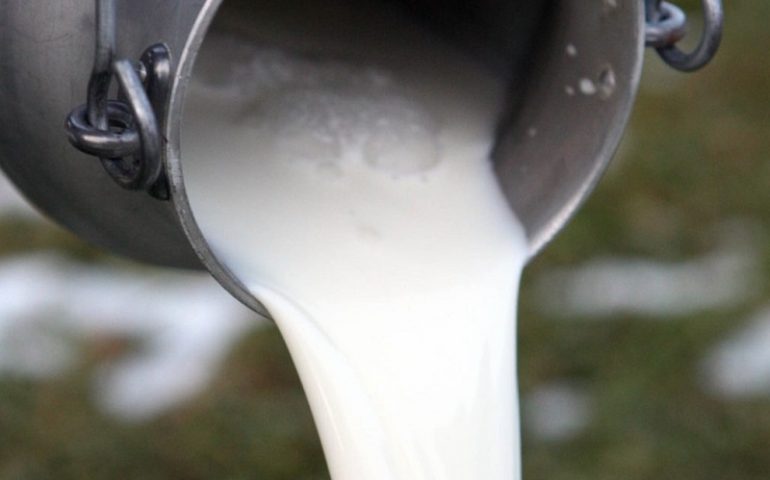 Coldiretti Nuoro Ogliastra a Macomer per discutere di prezzo del latte