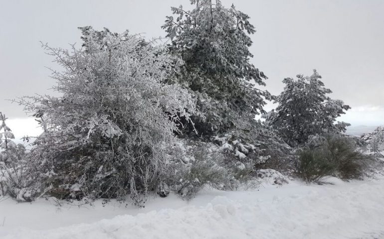 Limbara: ritrovato nella notte il 44enne disperso sui monti tra la neve e al gelo