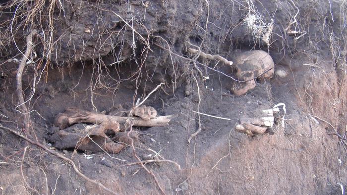 Macabra scoperta: dalla sabbia sbuca uno scheletro. Ma a chi appartengono i misteriosi resti?