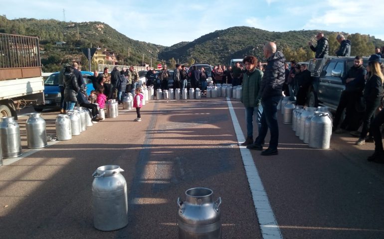 Cardedu, la strada si prepara a colorarsi di bianco: la protesta dei pastori in Ogliastra