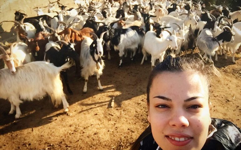 I giovani allevatori di Tertenia, Beatrice e Daniele Foddis, sulla battaglia bianca: “Ecco cosa significa essere pastori”