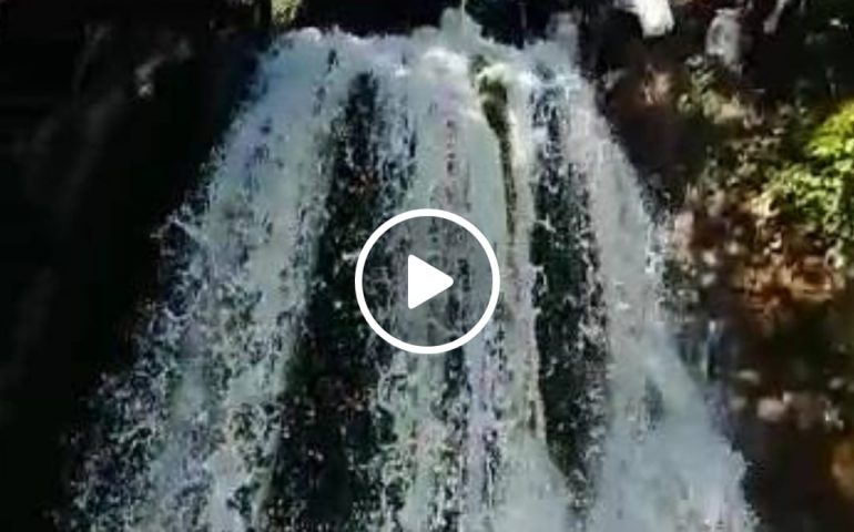 (VIDEO) Pastori sardi, Sadali: la cascata di San Valentino si tinge di bianco con il latte dei pastori