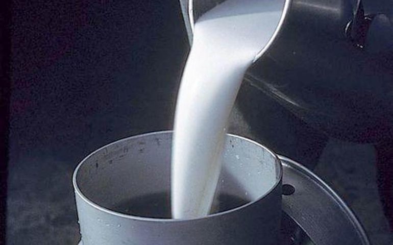 Prezzo del latte, Copagri: “Si sta scherzando col fuoco, a rischio c’è l’intera economia della Sardegna”