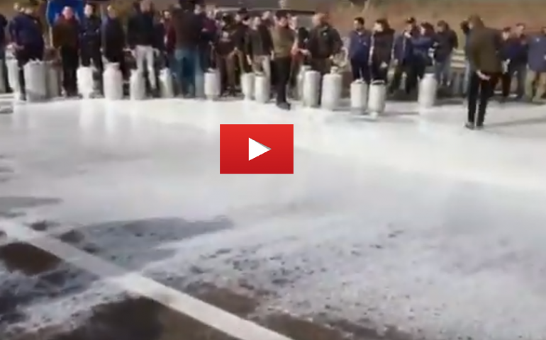 (VIDEO) Ancora latte sulle strade della Sardegna: i pastori bloccano di nuovo la SS 131