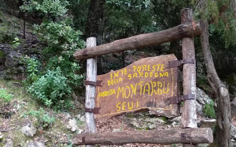 Un’isola di verde: presto un tuffo nella natura ogliastrina con il Trekking alla foresta di Montarbu, Seui