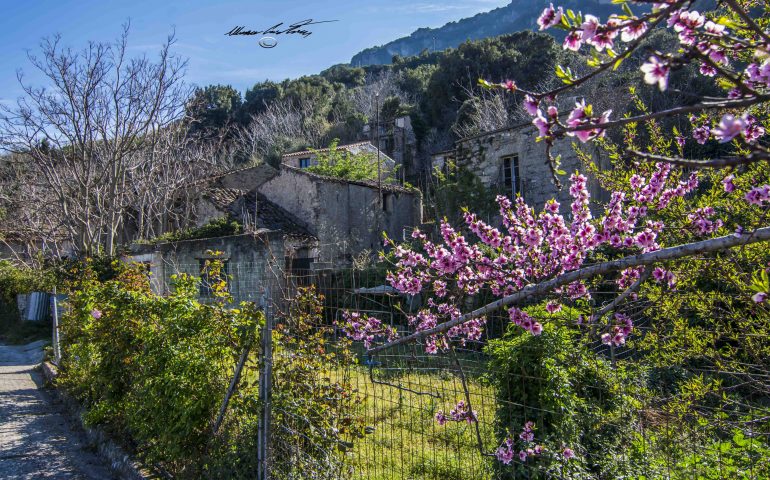 Le foto dei lettori. Finalmente la primavera in Ogliastra!