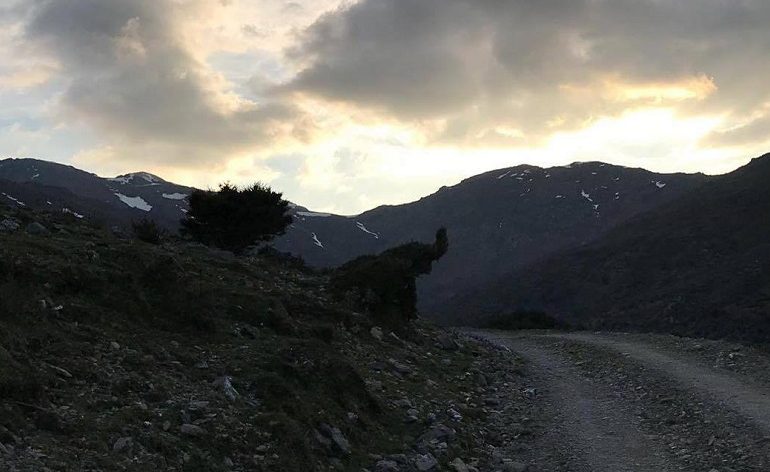 Le foto dei lettori. Le meraviglie della natura: sul Gennargentu spunta un elefantino