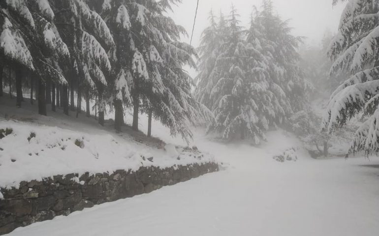 (FOTO) La primavera sotto la neve a Fonni: 27 marzo, un risveglio in bianco