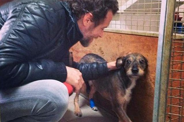 Dona 23 quintali di cibo al canile: come ogni anno Jovanotti pensa ai cani e gatti ospiti della struttura