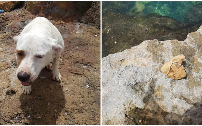 Le lega una pietra al collo e la butta in mare: “Non voleva farsi il bagno”