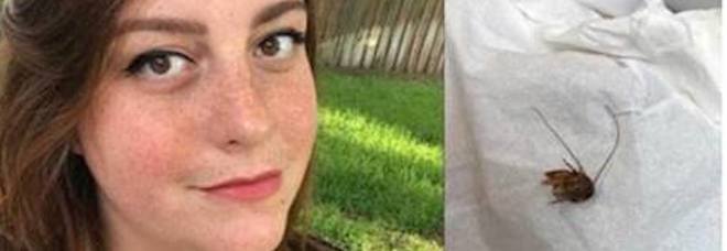 Usa, uno scarafaggio le entra in un orecchio nel sonno e ci rimane per una settimana: insetti attirati dal cerume come cibo