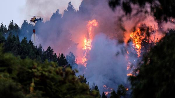 Inferno di fuoco a Gran Canaria: 1700 ettari di vegetazione distrutti e 4mila persone evacuate