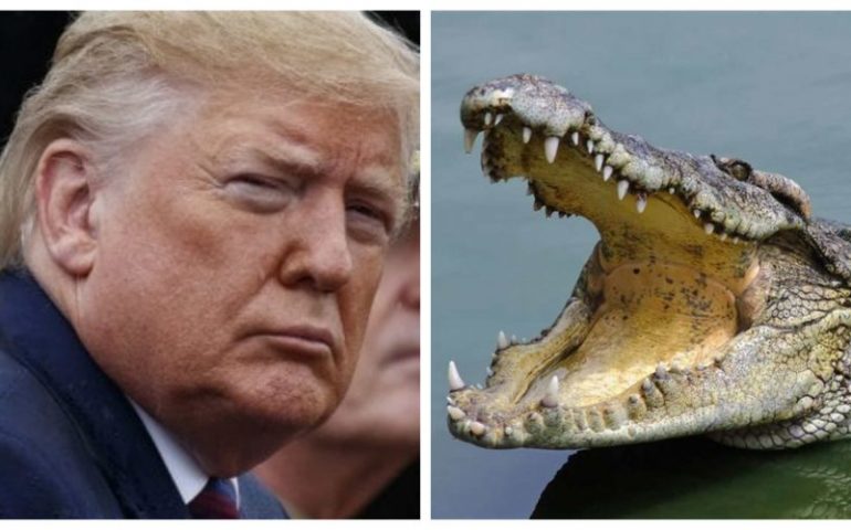 L’idea di Trump: fermare i migranti dal Messico con coccodrilli e serpenti